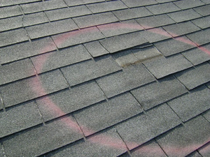 A professional roofing contractor conducting a roof inspection on a residential home.