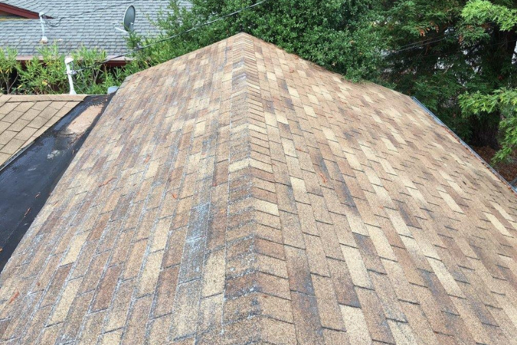 Inspection of a roof for summer heat and storm damage