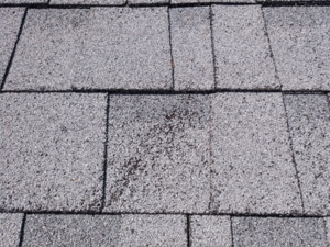 roof Inspection in Fairfax reveals hail damaged shingles