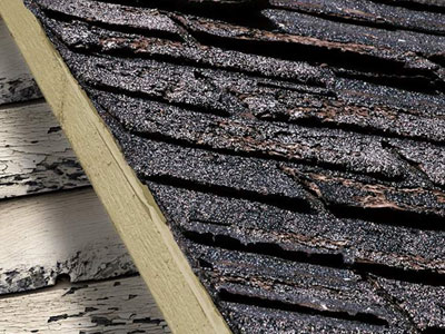Timothy's Roofing Inc. Images