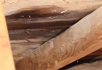 Timothy's Roofing Inc. Images